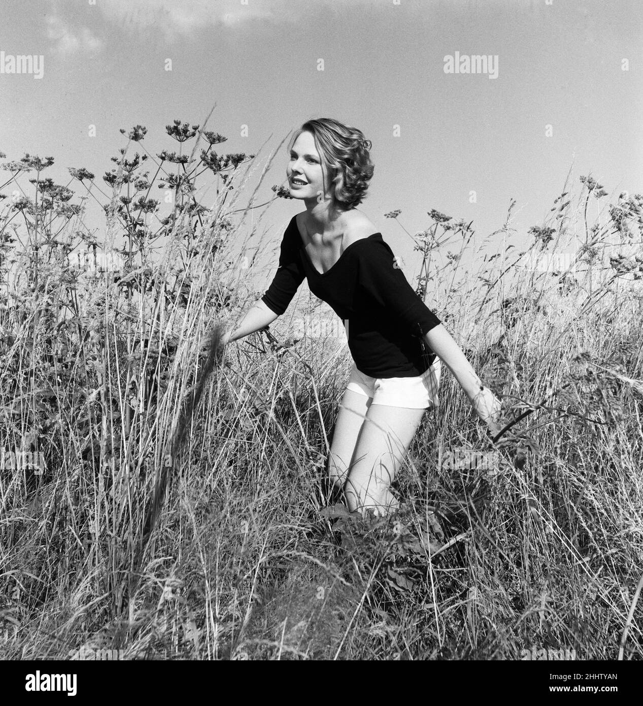 Die 22-jährige Paula Haworth aus London ist vor kurzem verheiratet und wird sich ihrem Mann Capt. John Richards anschließen, der gerade nach Malaya gegangen ist. Paula wird zu Weihnachten mit ihm zusammen sein. Abgebildet auf einem Feld in der Nähe von Slough. 26th. Juli 1955. Stockfoto