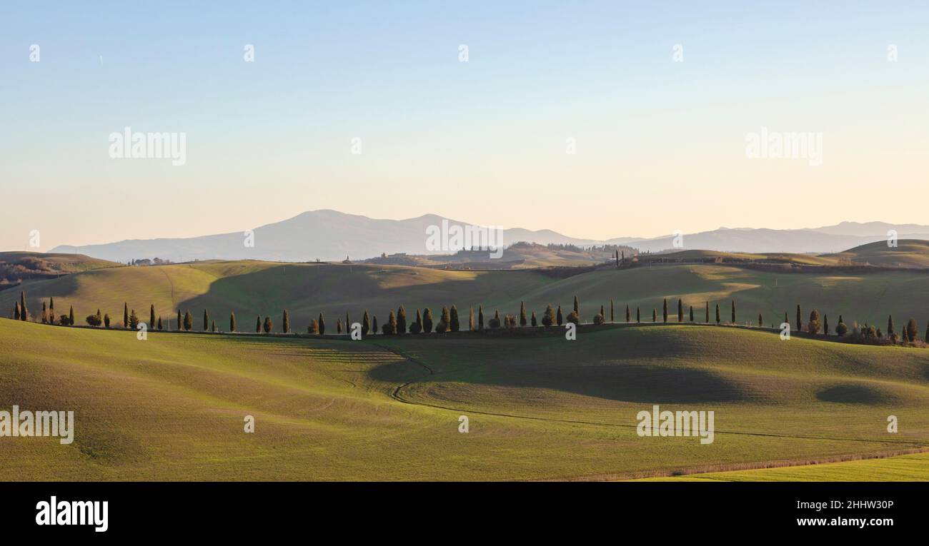 Toskanische Landschaft der Crete Senesi Hügel und an einem sonnigen Tag mit einem klaren Himmel. Stockfoto