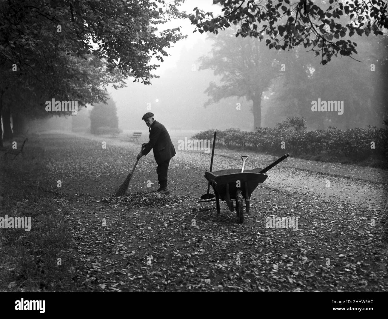 Coventry, einer der Bodensmänner im war Memorial Park, fegt an einem nebligen Oktobermorgen die herbstlichen Blätter hoch. Ca. Oktober 1950 Stockfoto