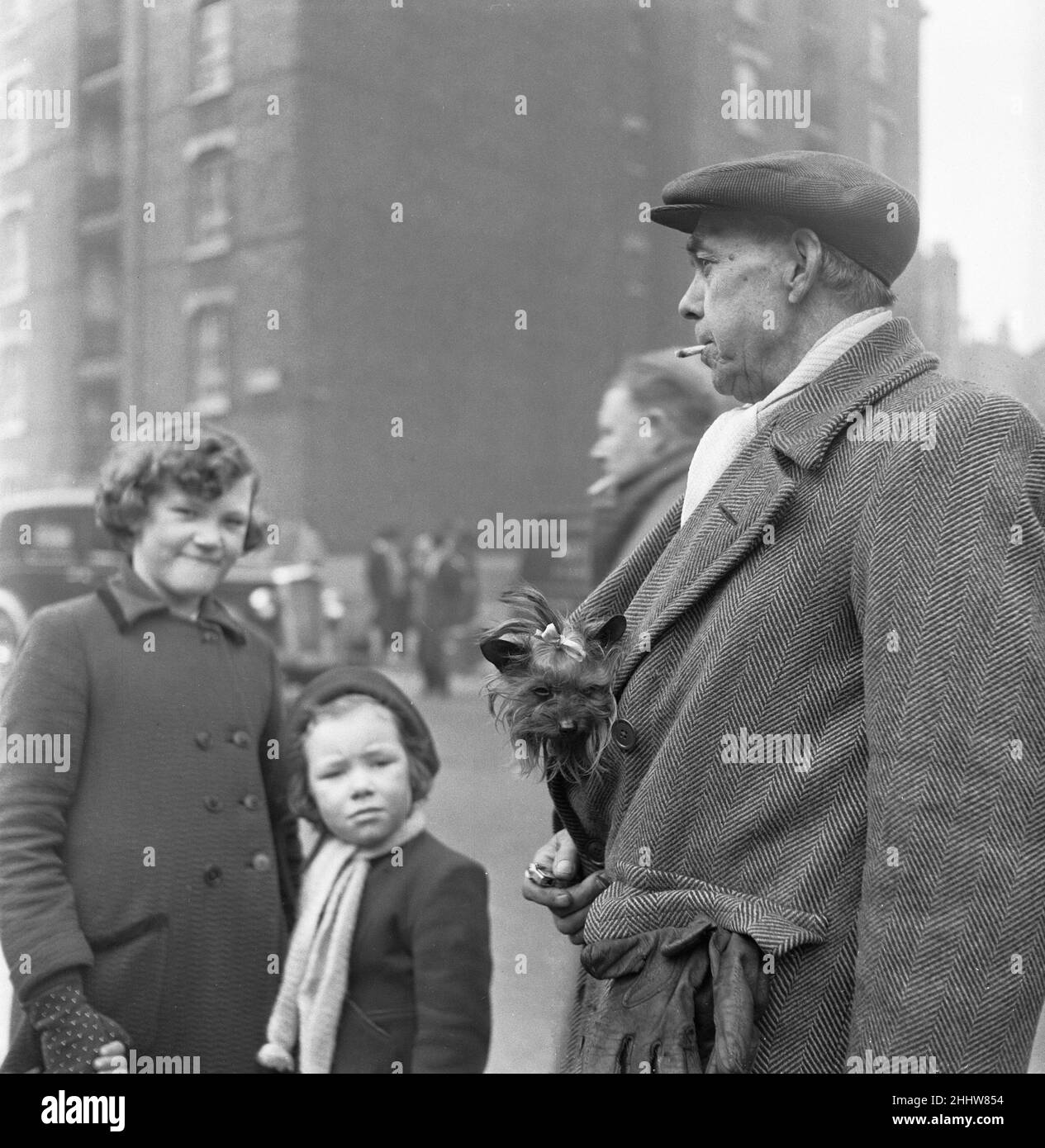 Welpen zum Verkauf an einem Stand auf dem Flohmarkt in Club Row, Bethnal Green, E1 London 1st. März 1955 Stockfoto