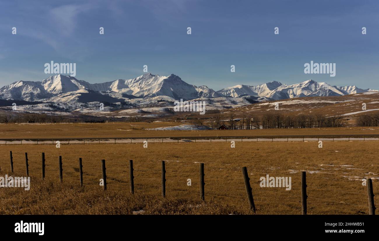 Blick auf die Berge der Kanadischen rockies von den Prärien Stockfoto