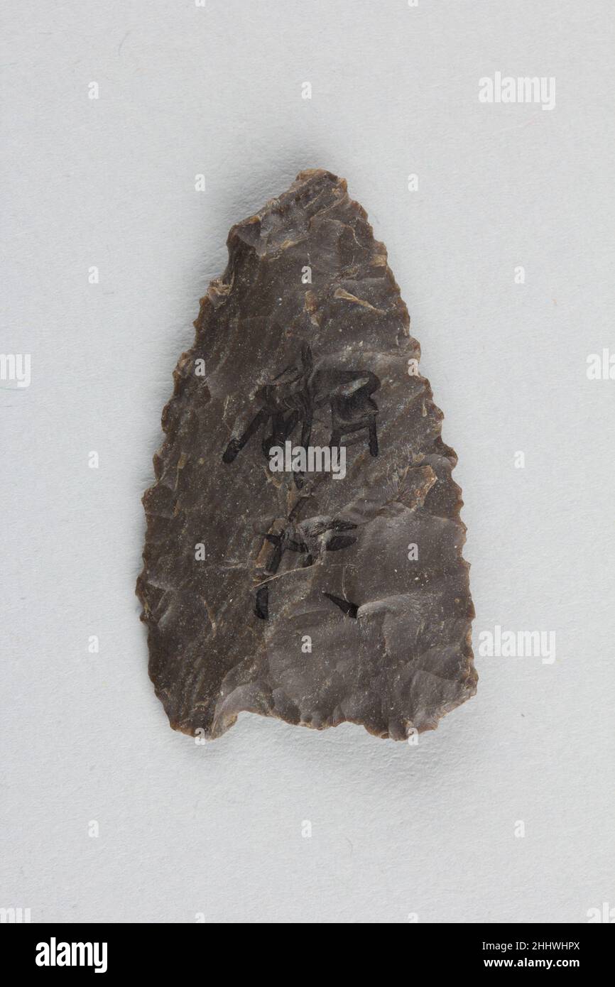 Pfeilspitze Japan. Pfeilspitze 62418 Stockfoto