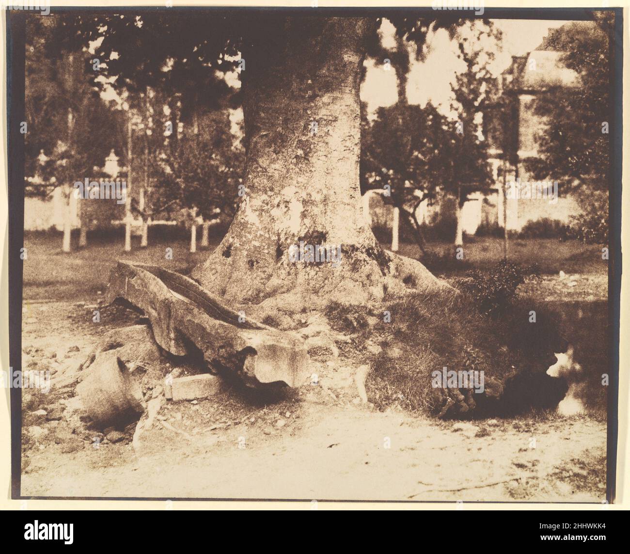[Der große Baum in La Verrerie, Romesnil] ca. 1852 Louis-Rémy Robert Französisch während Maler den Stamm einer alten Buche skizzieren konnten, um schnell einen visuellen Zwischenfall zu bemerken, oder als Studie für einen Teil einer aufwändigeren Landschaftskomposition, konnte Robert sein Thema nicht auf dieselbe Weise abkürzen. Da eine Kamera alles sichtbare in ihrem Bereich aufzeichnet, sind Fotos de facto fertige Kompositionen, die bis zum Rahmen reichen. In diesem Bild wird das gesamte Finish oder die Vollständigkeit verdeckt: Die Töne klumpen und schlucken Details und die körnige Textur (die aus der Verwendung eines Papiernegativs resultiert) Empha Stockfoto