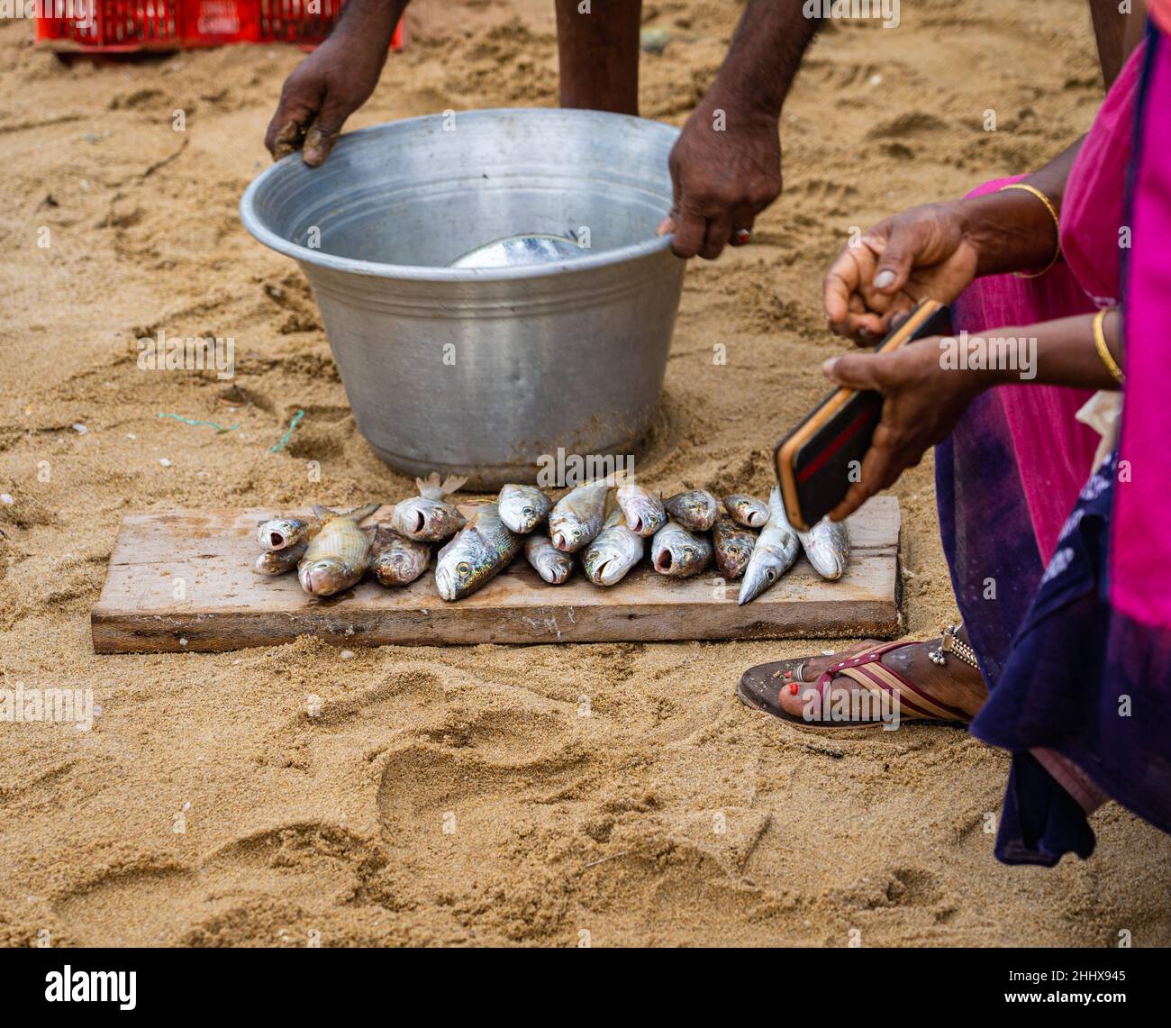 Selektiver Fokus auf Rohfisch, der von einem unbekannten Straßenhändler auf dem Fischmarkt am Edward Elliot's Beach in Besant Nagar verkauft wird. Stockfoto