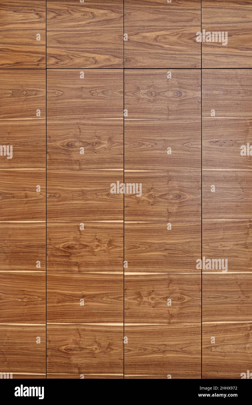Wandplatte aus Holz aus MDF furniert mit versteckten Türen als Hintergrund für Design und Dekor Stockfoto