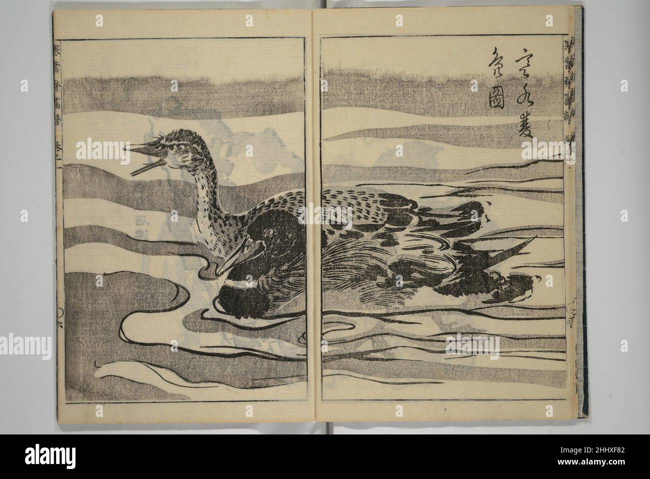 Kanyōsai Picture Album 1762 Kan'yōsai Japanisch. Kanyōsai Picture Album. Kan'yōsai (Japanisch, 1719–1774). Japan. 1762. Satz von fünf Büchern mit Holzschnitt; Tinte auf Papier. Edo-Zeitraum (1615–1868). Illustrierte Bücher Stockfoto