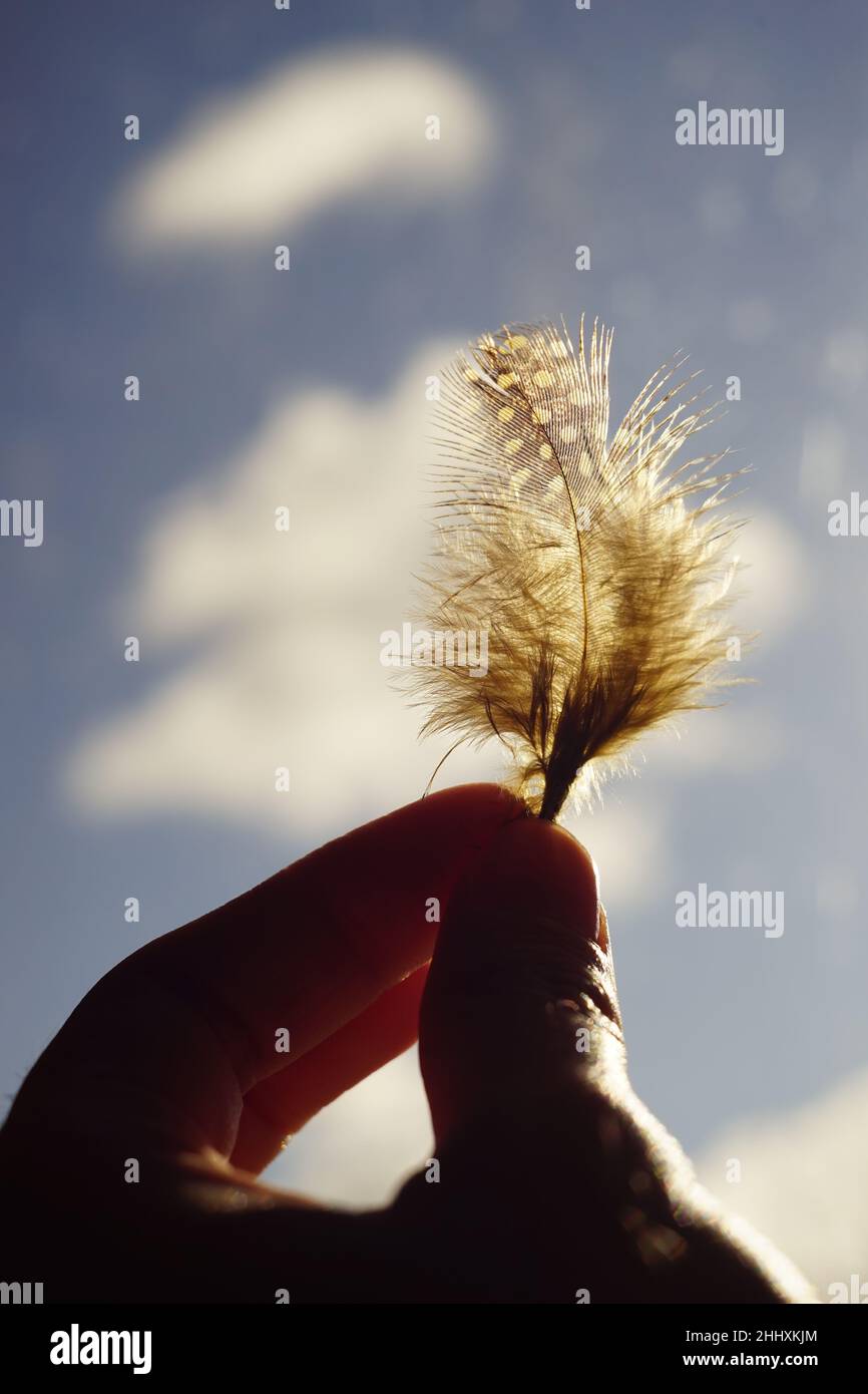 Gelb gefleckte Vogelfeder in menschlichen Fingern in blauem Himmel Hintergrund. Stockfoto