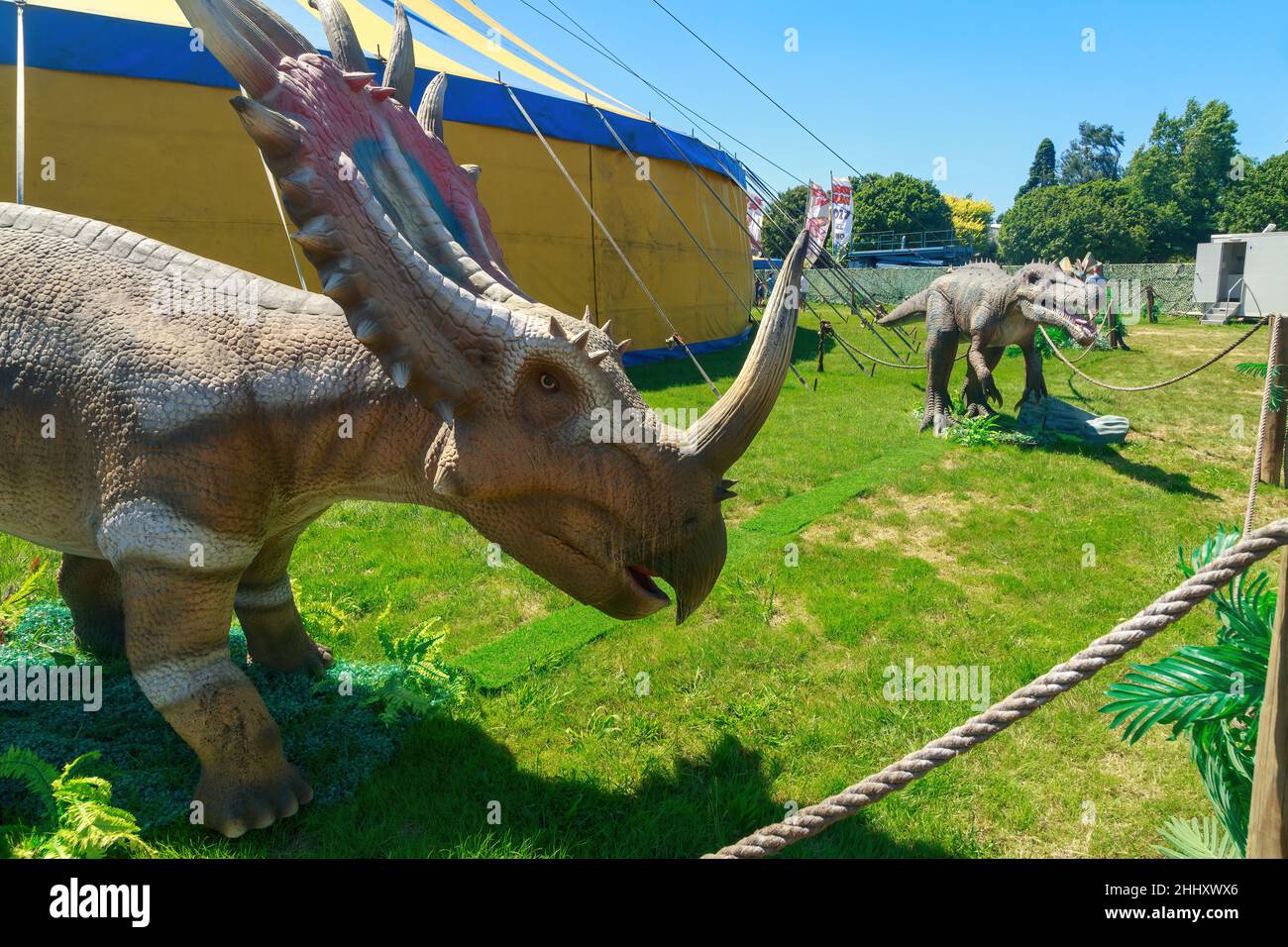 Eine Skulptur von Styracosaurus, einem Dinosaurier mit spektakulärem Horn und Halsband, mit dem Fleischfresser Irritator im Hintergrund Stockfoto