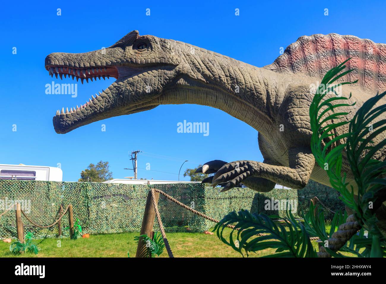 Ein Modell des fleischfressenden Dinosauriers Spinosarus. Der „Segel“ auf dem Rücken könnte ihm dabei geholfen haben, seine Körpertemperatur zu regulieren Stockfoto