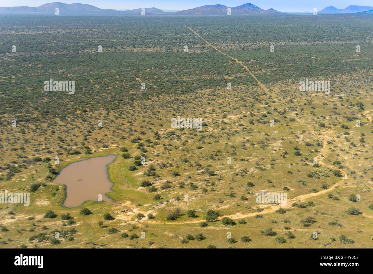 Luftaufnahme Namibische Landschaft mit Straßen und Akazienbusch über Land mit Wasserloch verstreut. Stockfoto