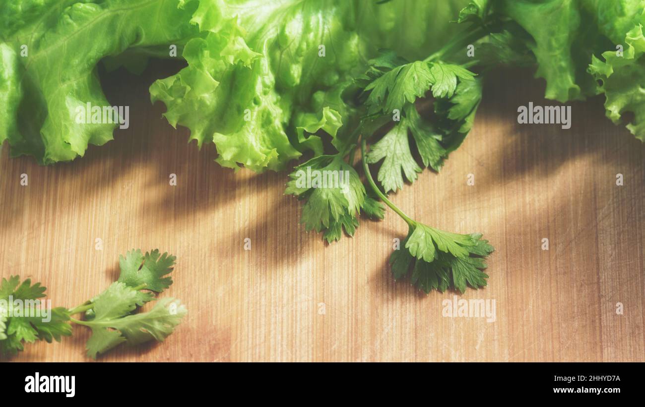 Leer für Lebensmittel Rezept Design Raum für Text in einem Rahmen von Gemüse und Kräutern, Petersilie, Salat , Stockfoto