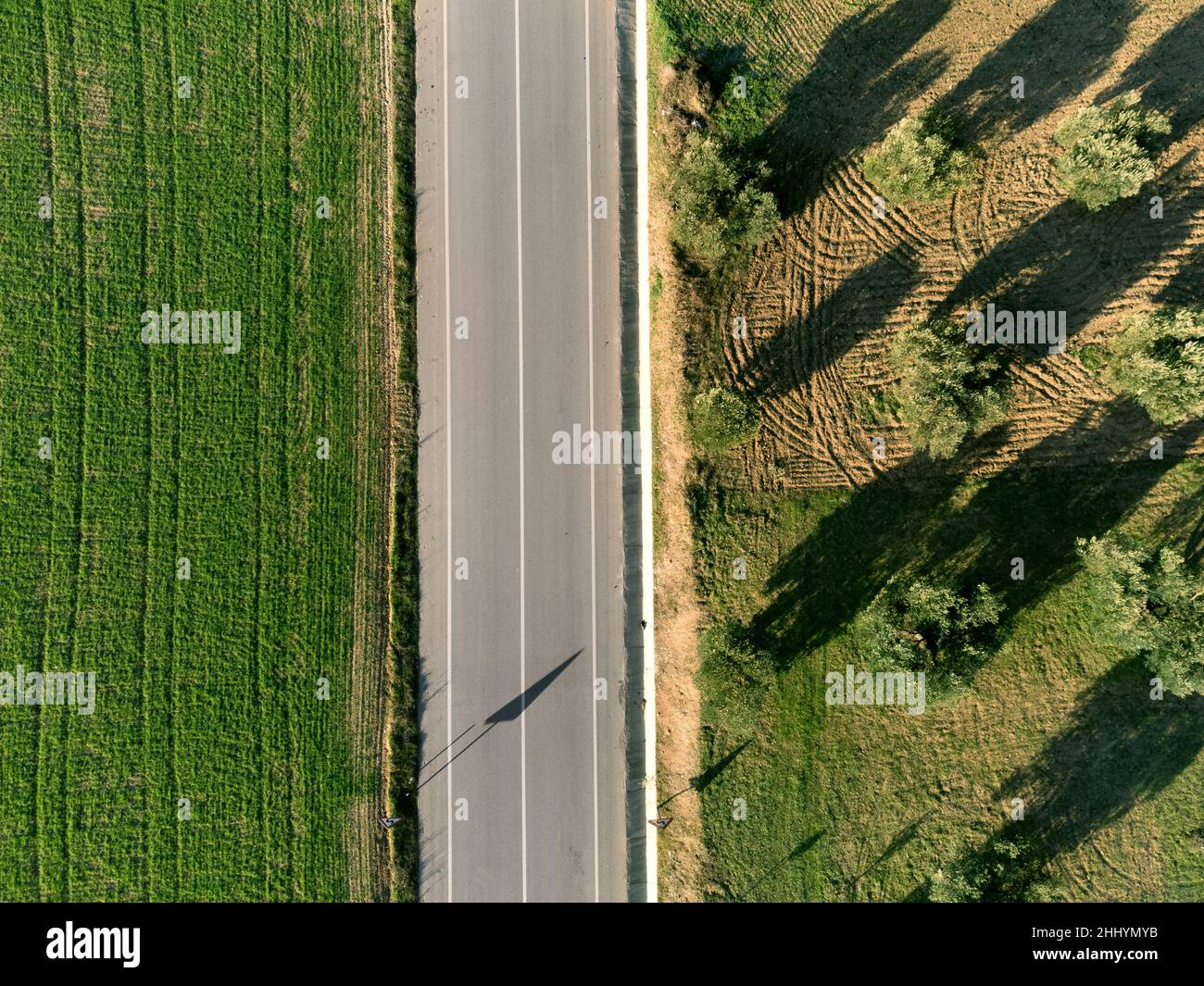 Luftaufnahme von Olivenfeldern mit einer Landstraße und einem Bauernhof. Stockfoto