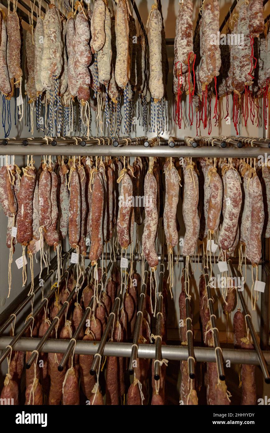 Lange Schweinswürste (longaniza) und kaltes Fleisch (fuet), die in einem Schweinemetzer in Prats de Lluçanès (Osona, Barcelona, Katalonien, Spanien) an einem Trockner hängen Stockfoto