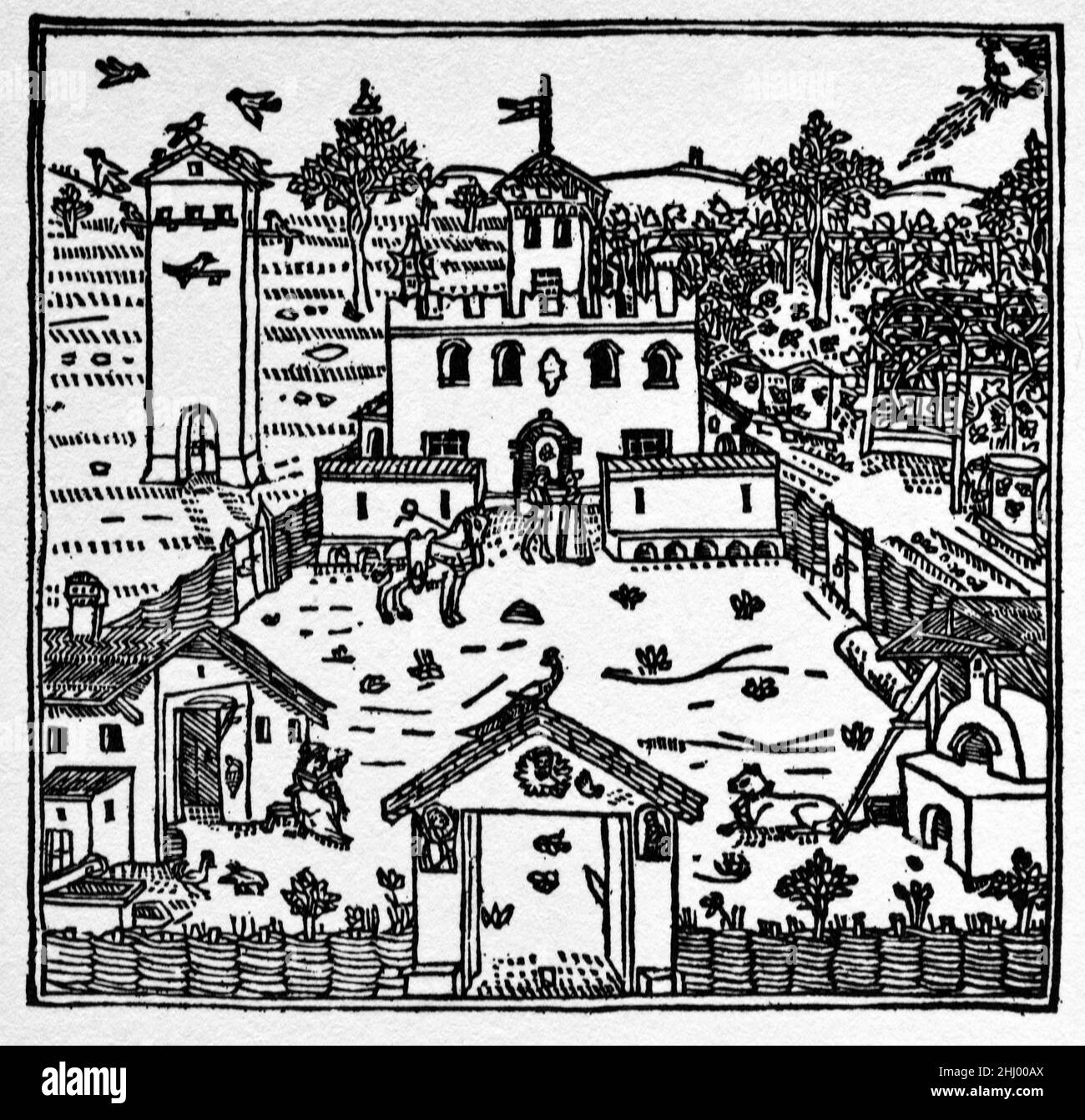 Landhaus oder ländliche Renaissance Italienische Villa mit ummauerten Garten und Nebengebäuden Italien. c15th Holzschnitt, Gravur oder Illustration. Stockfoto