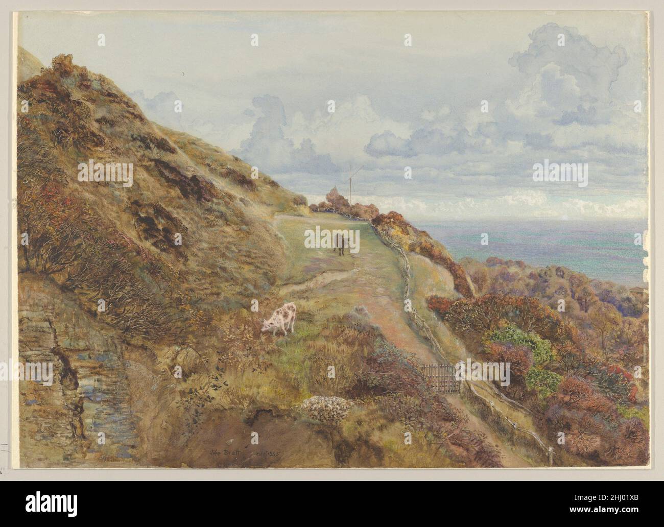 Bonchurch Downs 1865 John Brett präzise natürliche Details vermitteln in dieser Isle of Wight-Landschaft eine traumhafte Stille. Ein stark abgewinkelte Küstenabschnitt ermöglicht Brett, violett-graue Felsen mit hellem Gras und rostigen Winterblättern zu kontrastieren, während angestrahlte Farbtupfer einen Fleck entfernter See beschreiben. Wandernde Kühe und ein Signalmast, der gegen den Himmel geschildet wird, deuten auf eine unsichtbare menschliche Präsenz hin. Bretts frühe Karriere war vom führenden Kritiker John Ruskin geprägt worden, der als sein Mentor fungierte, bis ein wissenschaftliches Argument 1865 einen Riss verursachte. Kurz nach ihrem Abschied gemalt, Bonc Stockfoto