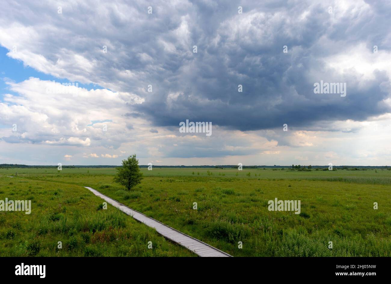Nationalpark Poleski, Polen, Europa. Hölzerne Fußgängerbrücke, Brücke über ein Torfmoor mit einem einseitigen Baum an der Seite. Czahary Touristenpfad . Stockfoto