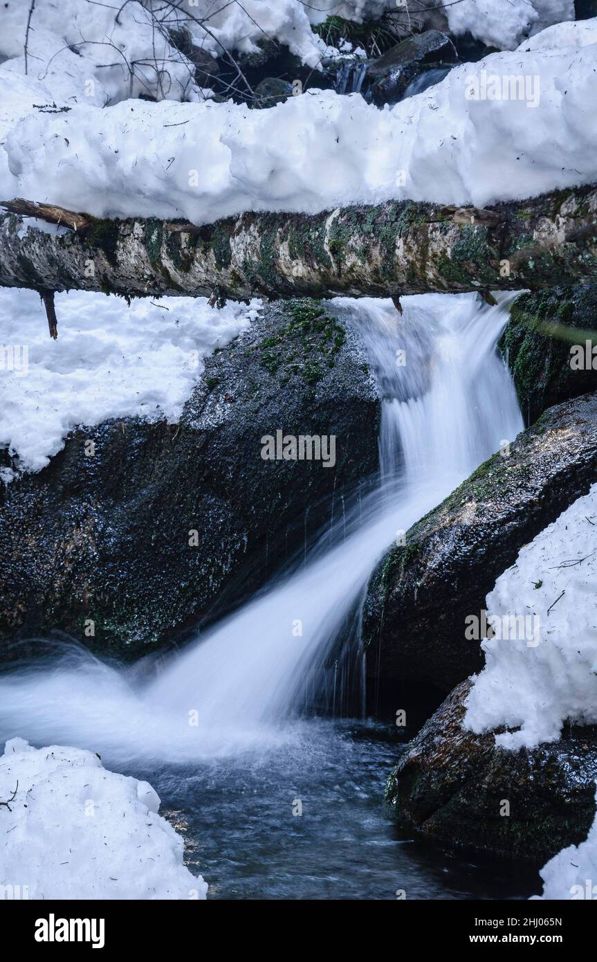 Schnee- und Eisdetails im Cabanes-Fluss im Gerdar-Wald im Winter (Nationalpark Aigüestortes i Estany de Sant Maurici, Katalonien, Spanien) Stockfoto