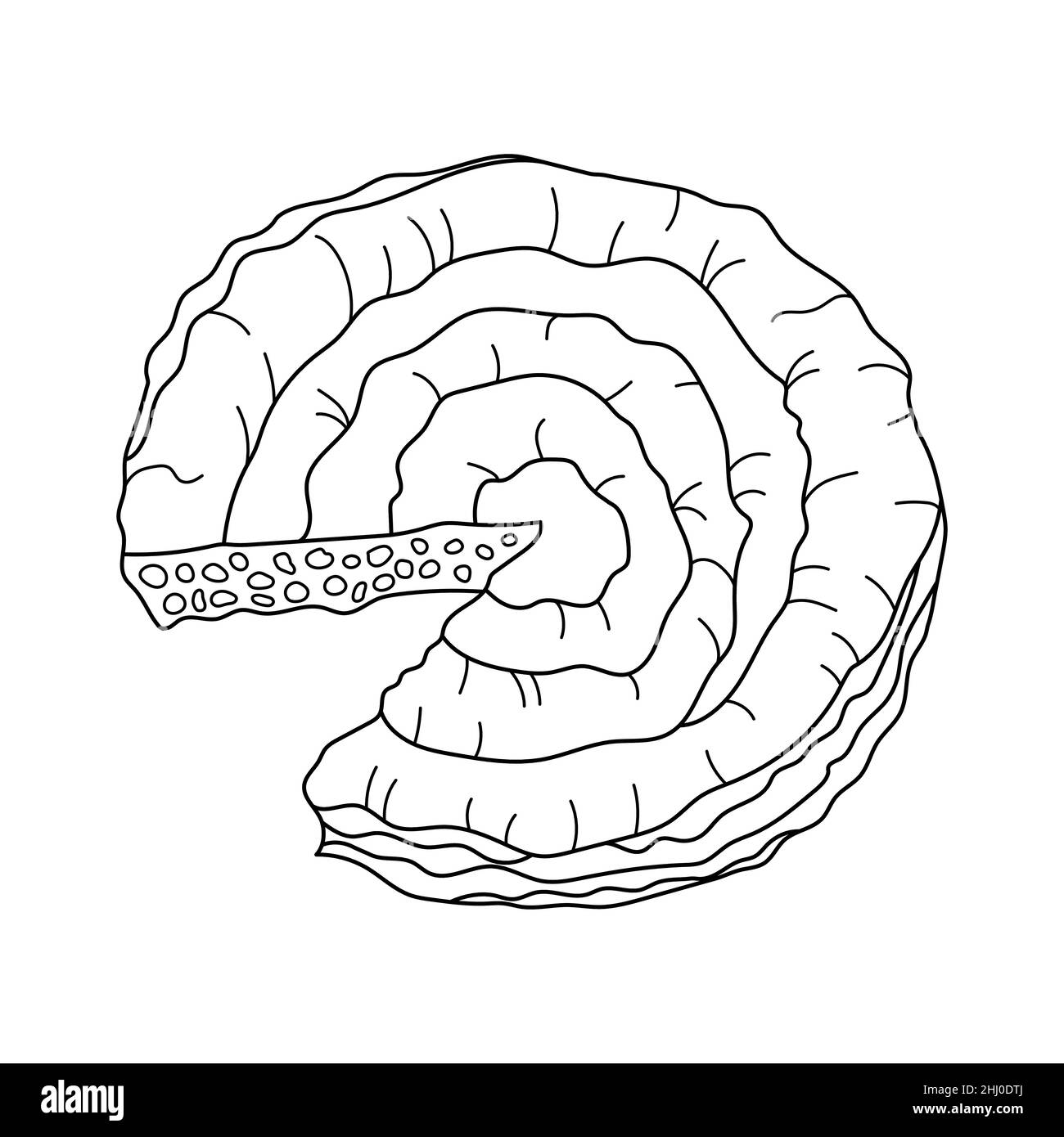 Griechischer Spanakopita oder Spiralkuchen aus Filoteig, Spinat und Feta-Käse. Handgezeichnete Vektorgrafik. Design-Element für Menü Cafe, Bistro Stock Vektor