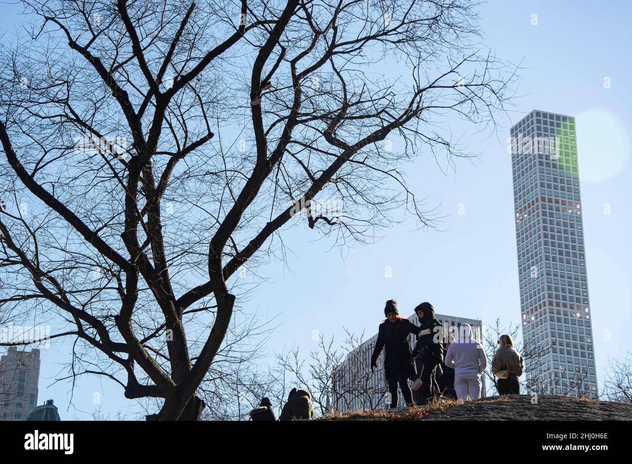 Bäume, Menschen, Hochhäuser im Central Park Stockfoto