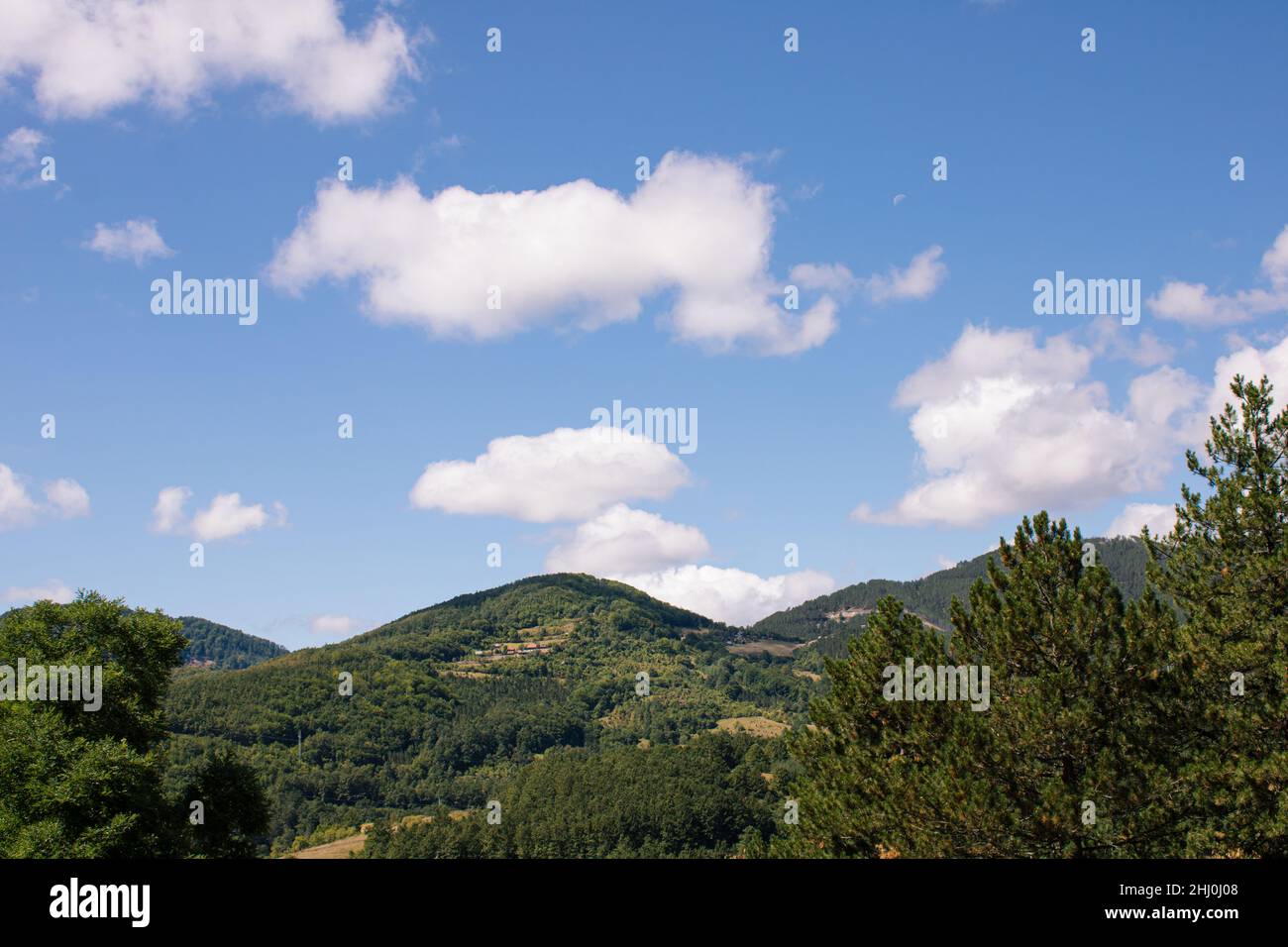 Die natürliche Schönheit der Berge ist von Bäumen, Laub- und Nadelwäldern überwuchert. Stockfoto