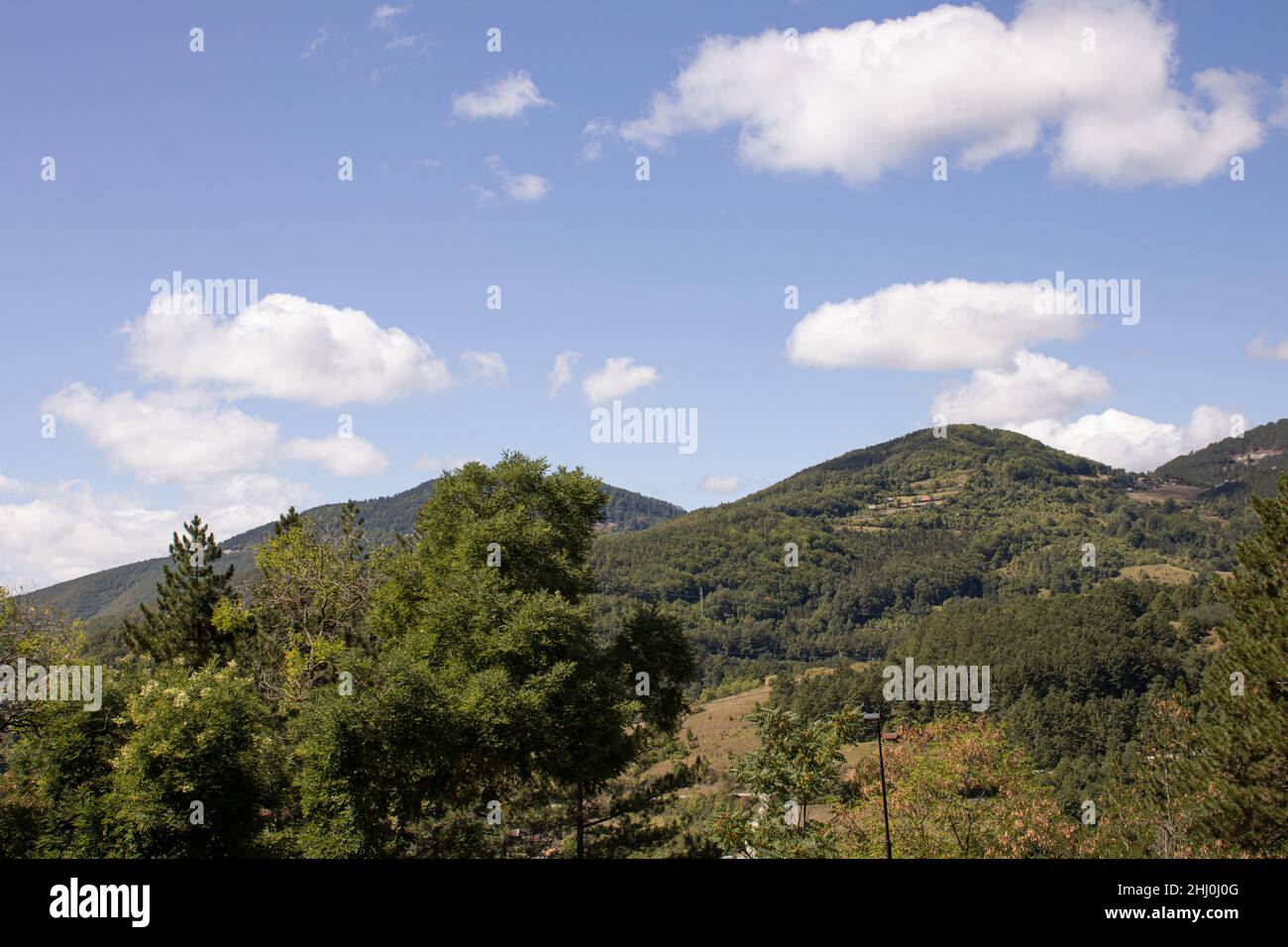 Die natürliche Schönheit der Berge überwuchert von Bäumen an einem schicksalhaften Tag. Stockfoto