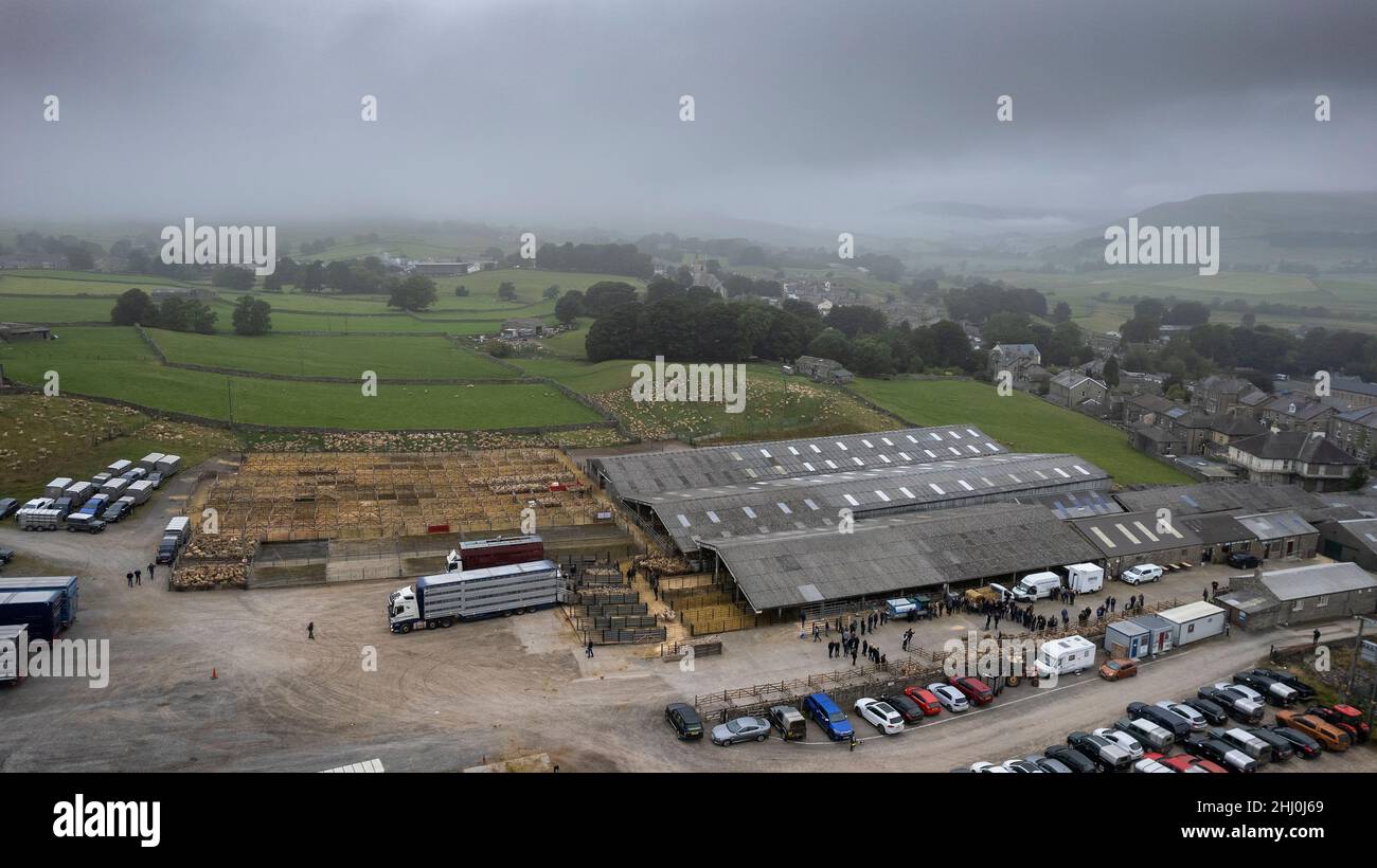 Luftaufnahme des Mule Gimmer Lammverkaufs im Hawes Auktionsmarkt im Herzen des Yorkshire Dales National Park, Großbritannien. Stockfoto