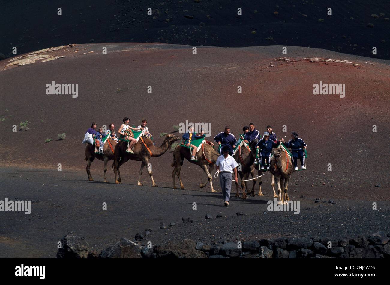 Kamel-Safari im Nationalpark Timanfaya, Orzola, Lanzarote, Kanarische Inseln, Spanien Stockfoto