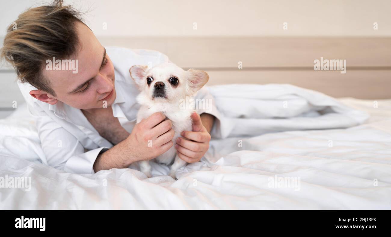 Mann am Morgen lächelt mit seinem chihuahua Hund im Bett. Banner. Stockfoto