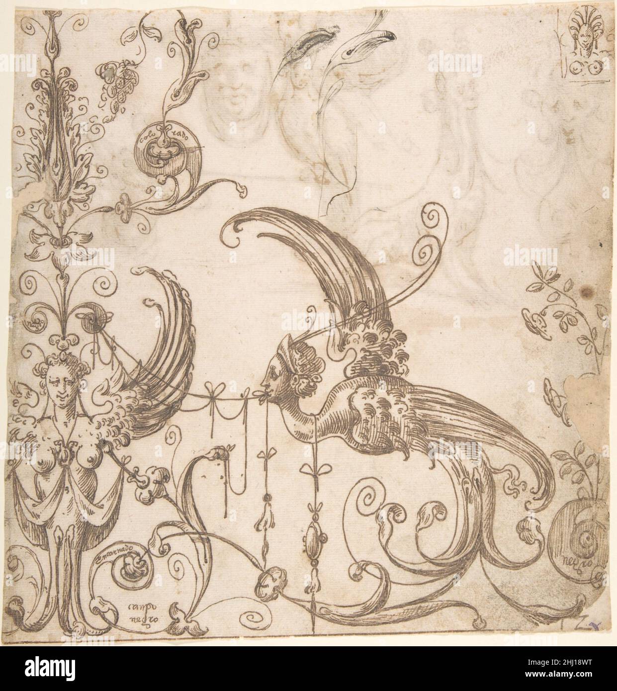 Entwurf für eine groteske Dekoration; Grotesken mit einem Löwen, einer fantastischen Kreatur, einer Maske und einem Vogel (verso) ca. 1545–60 dem spanischen Andrés de Melgar zugeschrieben. Entwurf für eine groteske Dekoration; Grotesken mit einem Löwen, einer fantastischen Kreatur, einer Maske und einem Vogel (verso) 337502 Stockfoto