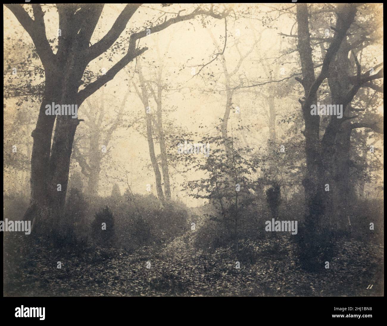 [Fontainebleau Forest] Anfang 1860s Eugène Cuvelier French im September 1856, im Alter von 19 Jahren, besuchte Eugène Cuvelier Barbizon. Diese kleine Stadt am Rande des alten Waldes von Fontainebleau diente den Präimpressionisten, die die Praxis der Freiluftmalerei popularisierten, als Heimatbasis. Drei Jahre später heiratete er Louise Ganne, die Tochter des Barbizon-Gastwirts, in dessen auberge sich die Maler versammelten, um zu essen, zu trinken und über Kunst zu sprechen. Obwohl sich das junge Paar in Arras niederließ, kehrten sie oft nach Barbizon zurück, wo Cuvelier mit Hi die Dorfstraßen und den nahe gelegenen Wald erkundete Stockfoto