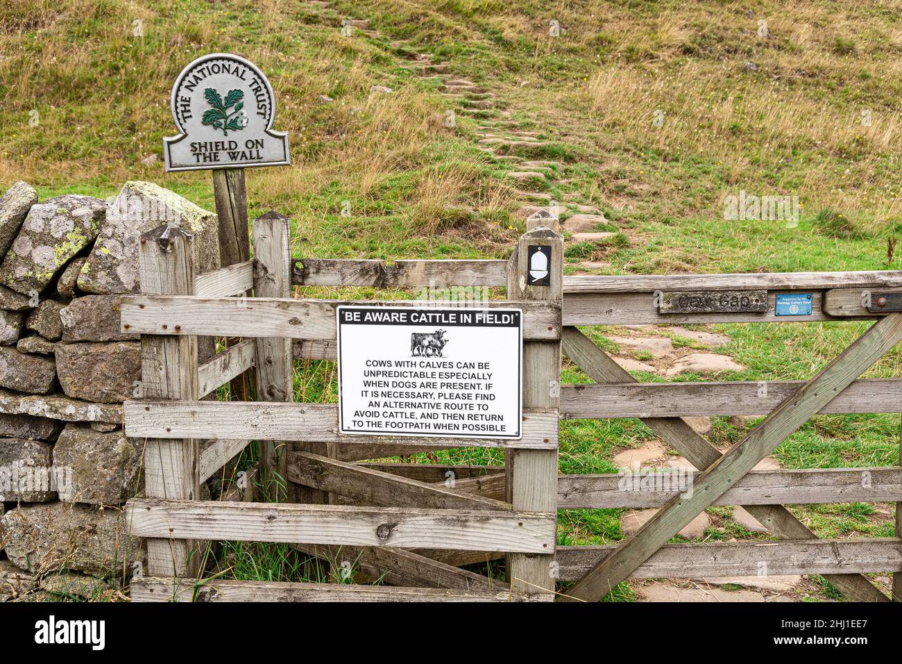 Beachten Sie das Schild „Cattle in Field“ bei Caw Gap, Shield on the Wall, Northumberland UK Stockfoto