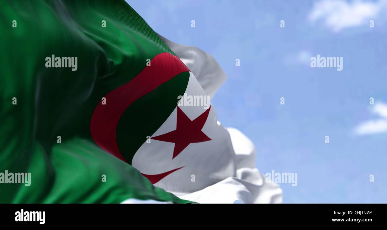 Detail der Nationalflagge Algeriens, die an einem klaren Tag im Wind winkt. Patriotismus. Selektiver Fokus. Stockfoto