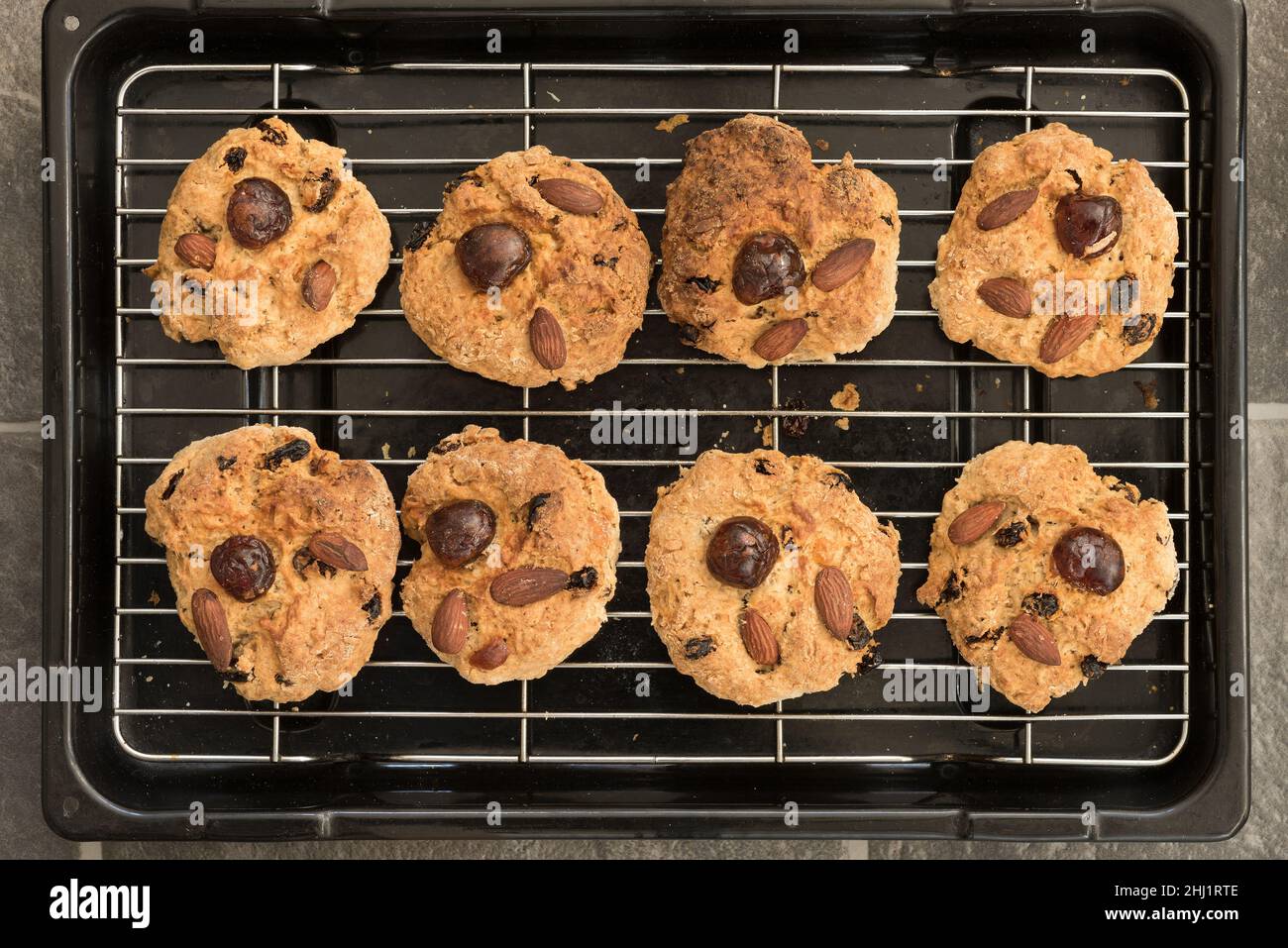 Saubere Reihen von hausgemachten Scones, fetten Racskals, die sich auf dem Rack abkühlen Stockfoto