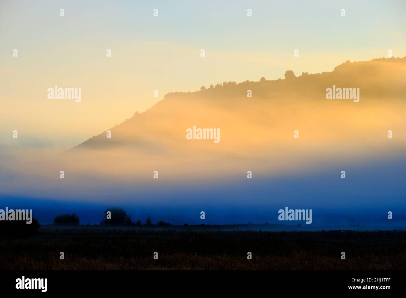 Landschaftlich schöner Blick auf die neblige Talwiese mit Bäumen und Morgensonne Stockfoto