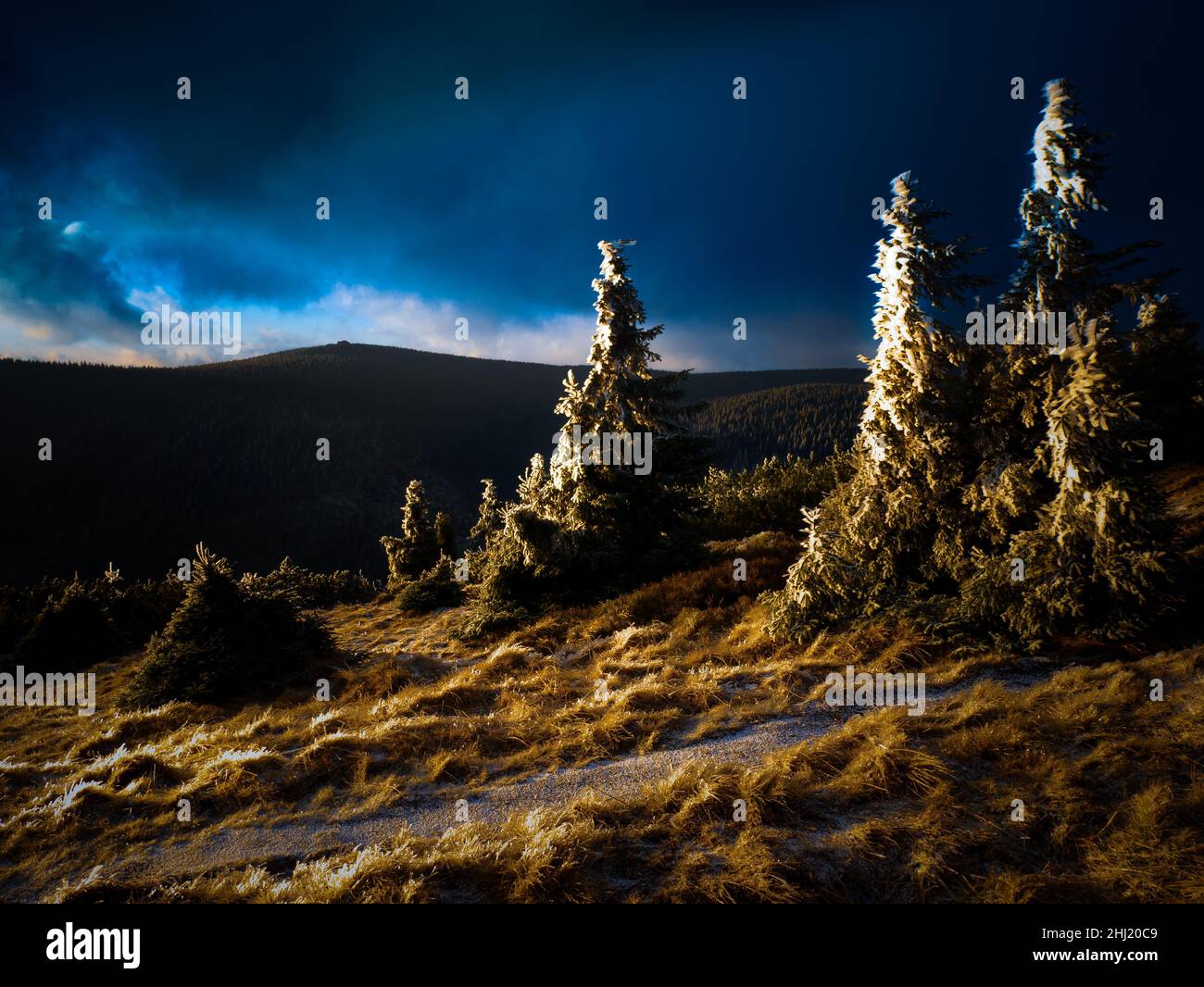 Raue Landschaft auf einer Bergkette der Jeseniky-Berge mit verkümmerten Bäumen, die im Spätherbst mit Reim bedeckt sind. Wolken und Sonnenlicht, Tageslicht. Jeseniky Stockfoto