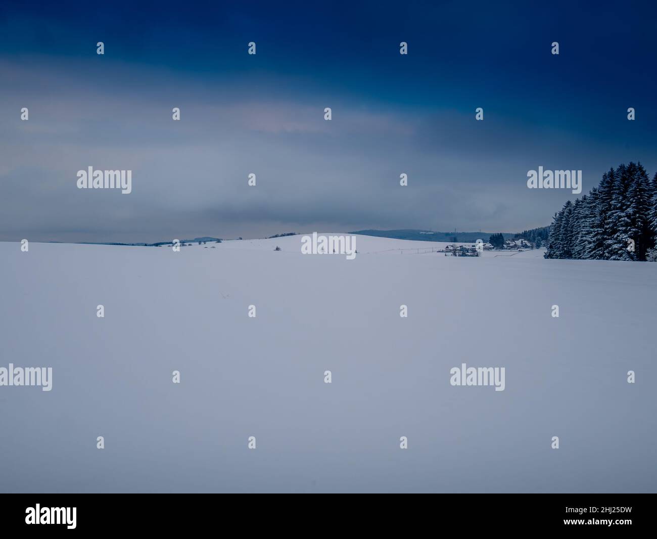 Winter szenische schneebedeckte Landschaft, Wald, Schnee. Vysocina Region,Tschechische Republik,Europa. Stockfoto