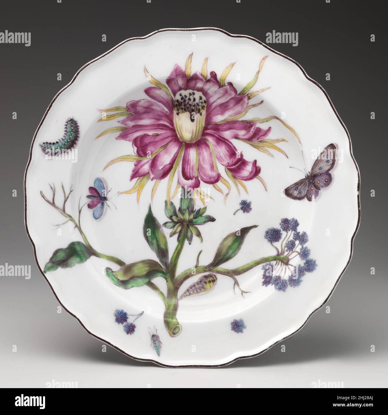 Botanische Platte mit Distel ca. 1755 Chelsea Porzellan Manufaktur Diese botanischen Platten (2016,217–.226) wurden um 1755 von der Chelsea Fabrik hergestellt und werden oft als Chelsea 'Hans Sloane' Waren bezeichnet, in Bezug auf den königlichen Arzt, Reisenden, Und Naturhistoriker, die während der britischen Aufklärung dazu beigetragen haben, den Chelsea Physik Garden in ein Zentrum botanischen Wissens zu verwandeln. Mehrere auf diesen Tafeln abgebildete Motive stammen aus botanischen Illustrationen, die von Philip Miller, Kurator des Chelsea Physik Garden, veröffentlicht wurden. Obwohl Blumen und Früchte in der Regel auf gefunden werden konnten Stockfoto