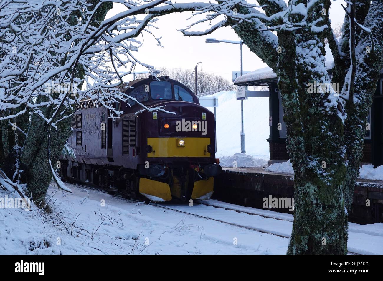Loch Rannoch 37676 eine Diesellokomotive der Klasse 37 am Bahnhof Rannoch, West Highland Line Stockfoto