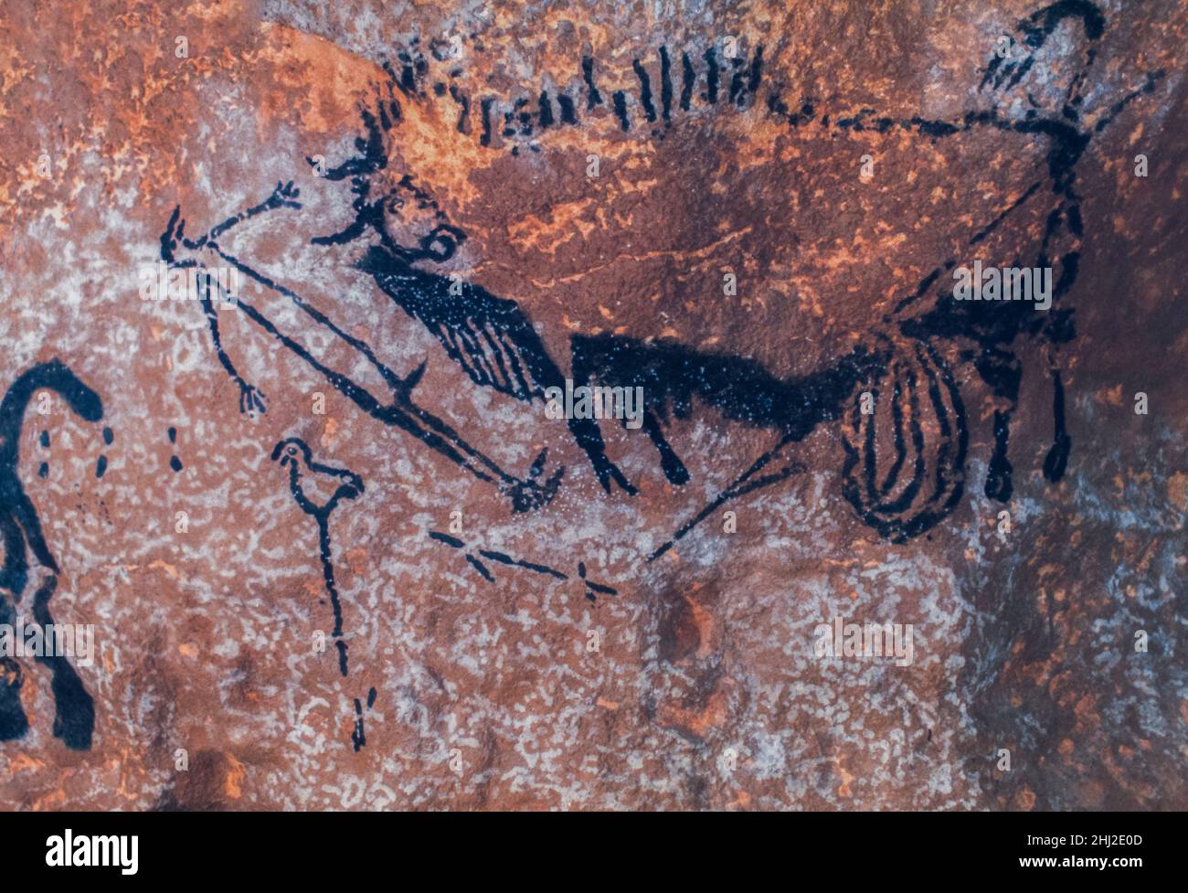 Steinzeitliche Höhlenmalereien von Jägern mit Speeren und Auroch, jetzt ausgestorbener Wildbulle, Lascaux Caves, Perigord, Montignac, Dordogne, Frankreich Stockfoto
