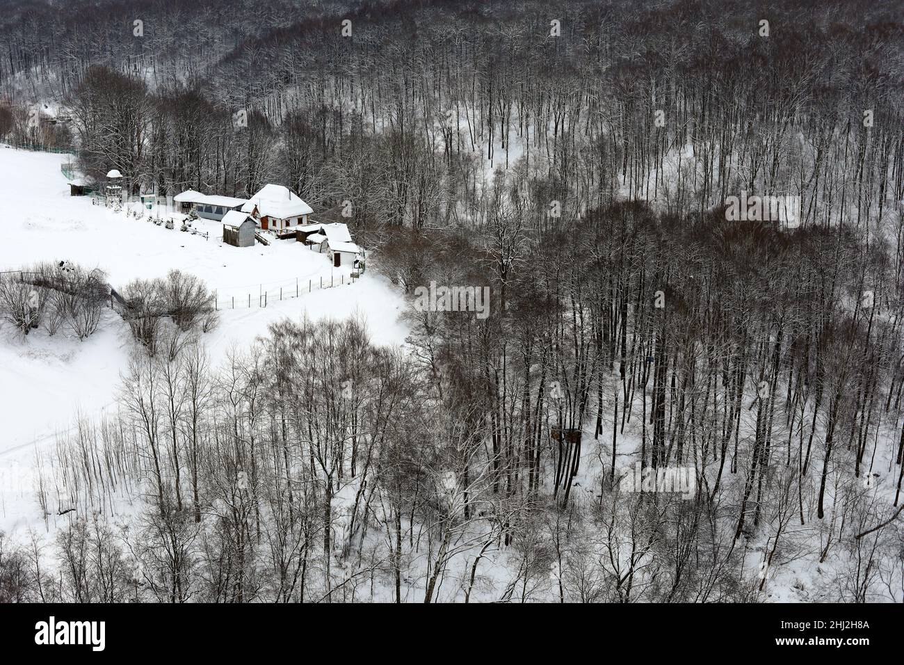 Bauernhaus auf einem Hügel im Wald nach Schneefall, ländliche Szene. Malerische Winterlandschaft in Osteuropa Stockfoto