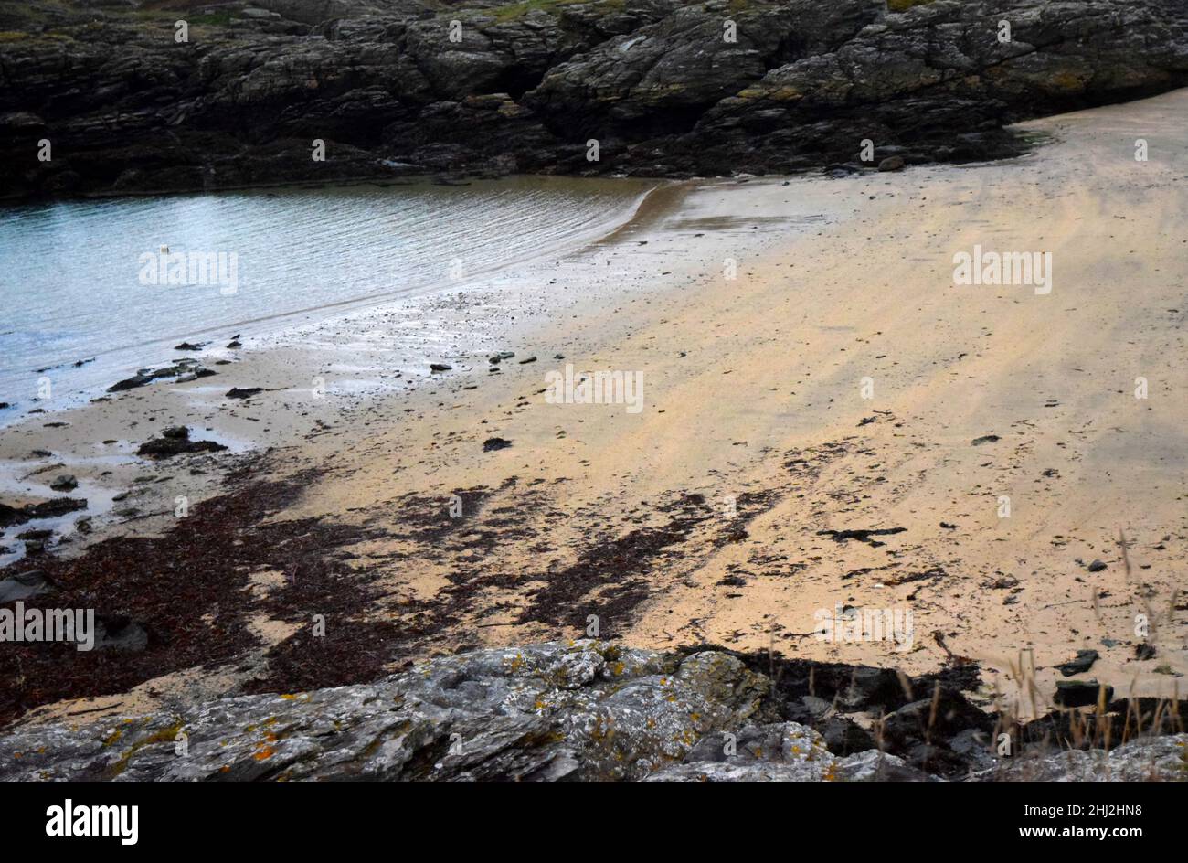 Strand, Meer und Felsen trearddur Bay, anglesey, heilige Insel, nordwales, großbritannien Stockfoto