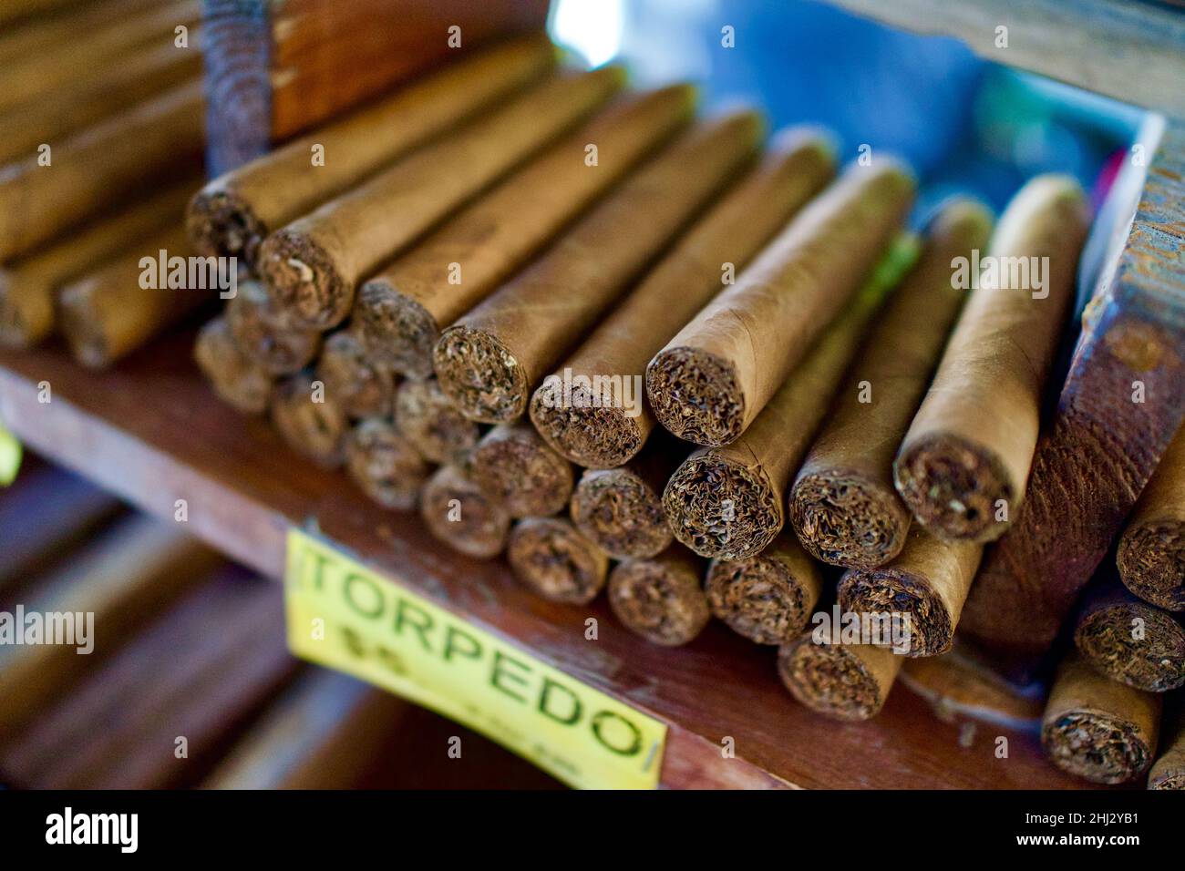 Handgerollte kubanische Zigarren zum Verkauf auf einem offenen Markt in Old Town Key West, Florida. Nahaufnahme von Torpedo-Zigarren mit offenem Ende und Tabak. Stockfoto