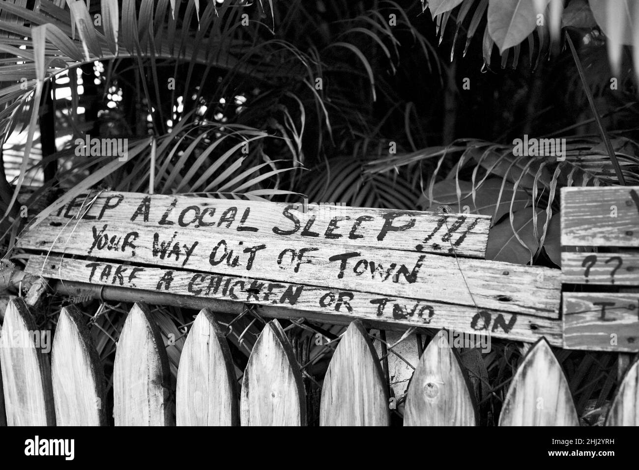 Humorvolles Zeichen in Key West, Florida, FL USA. „Take a Chicken“ Island Urlaubsziel. Stockfoto
