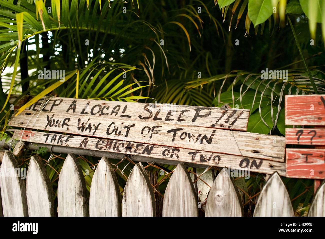 Humorvolles Zeichen in Key West, Florida, FL USA. „Take a Chicken“ Island Urlaubsziel. Stockfoto
