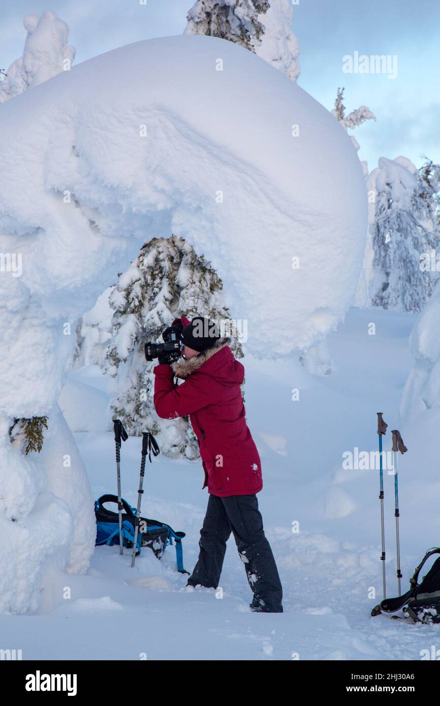 Fotograf, der im Riisitunturi-Nationalpark, Lappland, Finnland, schneebedeckte Bäume fotografiert Stockfoto