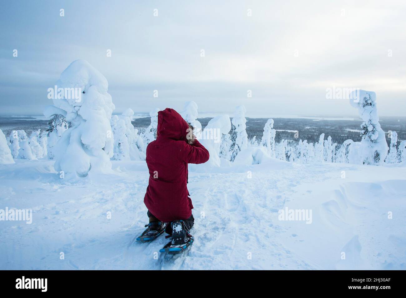 Fotograf, der im Riisitunturi-Nationalpark, Lappland, Finnland, Bilder von schneebedeckten Bäumen macht Stockfoto
