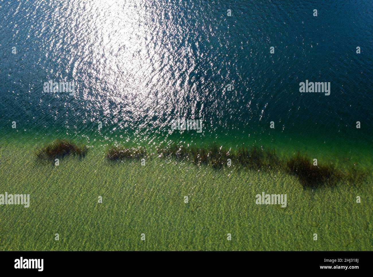 Drohnenschuss, Mondsee-Seeufer mit Sonnenreflexen im Wasser, Mondseeland, Salzkammergut, Oberösterreich, Österreich Stockfoto