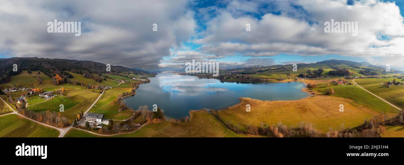 Drohnenbild, Schilfgürtel des Irrsee mit dem Dorf Zell am Moos, Salzkammergut, Oberösterreich, Österreich Stockfoto