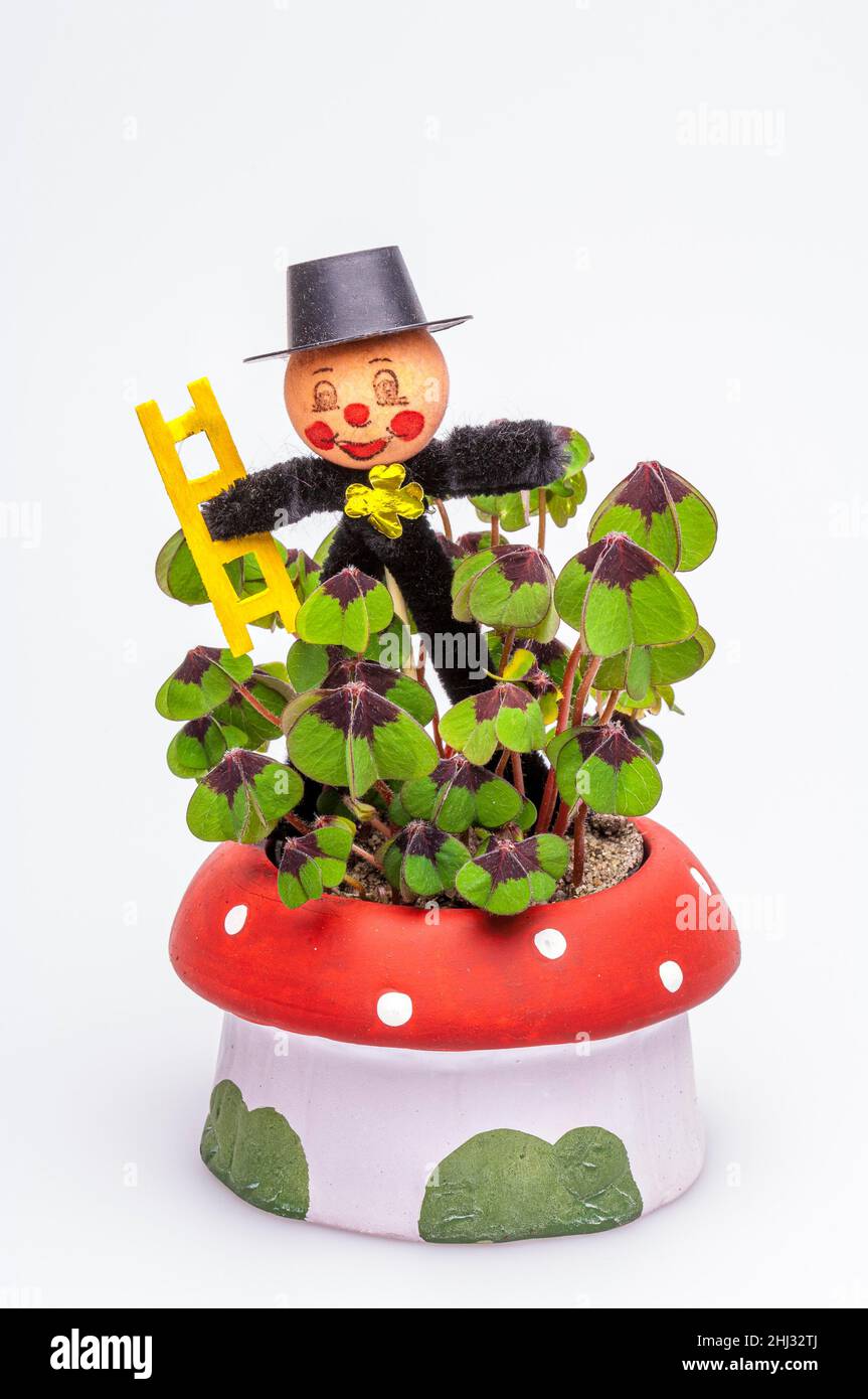 Schornsteinfeger-Figur, Schornsteinfeger, Glücksbringer für Neujahr,  glücklicher Kleeblatt in einem Blumentopf, Zehenhocker Stockfotografie -  Alamy