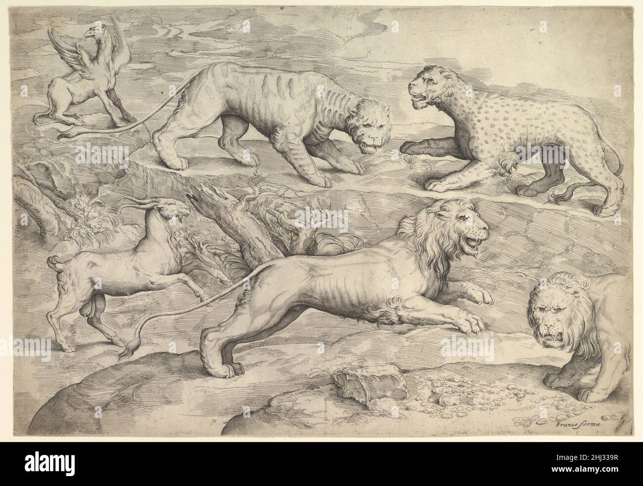 Sechs Tiere, darunter Löwen, ein Tiger, ein Leopard, ein Greifling, Und eine Ziege ca. 1530–61 Battista Franco Italienisch. Sechs Tiere, darunter Löwen, ein Tiger, ein Leopard, ein Greifling, Und eine Ziege 371918 Stockfoto